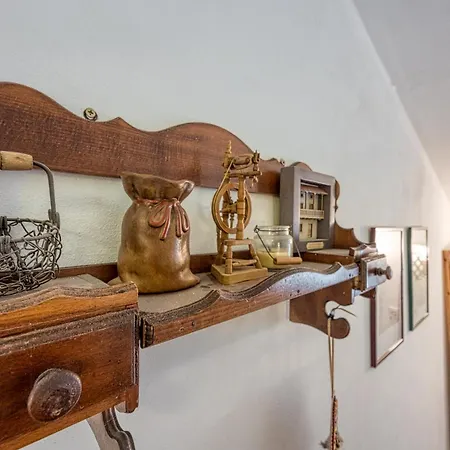 Salamander - Garden & Ev Charger - Happy