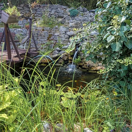 Salamander - Garden & Ev Charger - Happy *